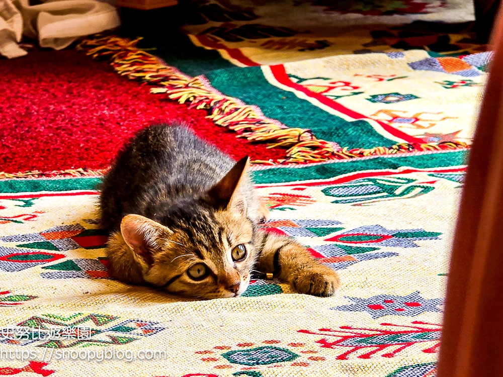 尖石咖啡廳,尖石景點,新竹咖啡廳,新竹景點