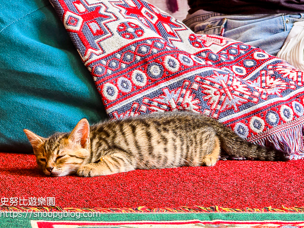 尖石咖啡廳,尖石景點,新竹咖啡廳,新竹景點