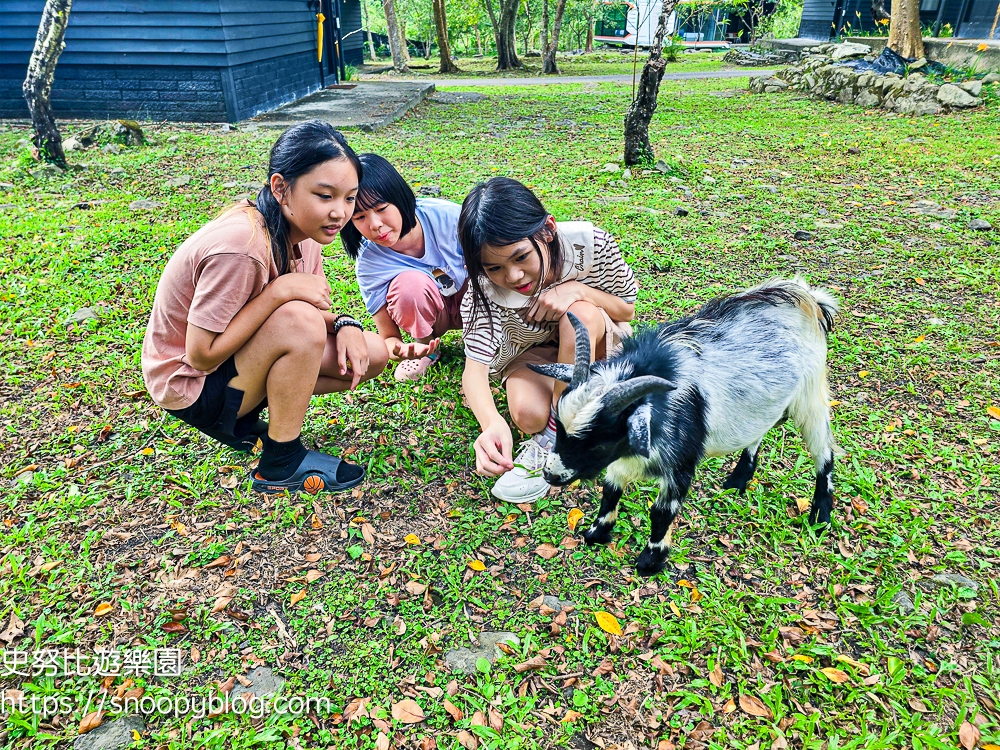 新竹住宿,新竹尖石景點,新竹親子住宿推薦,新竹露營