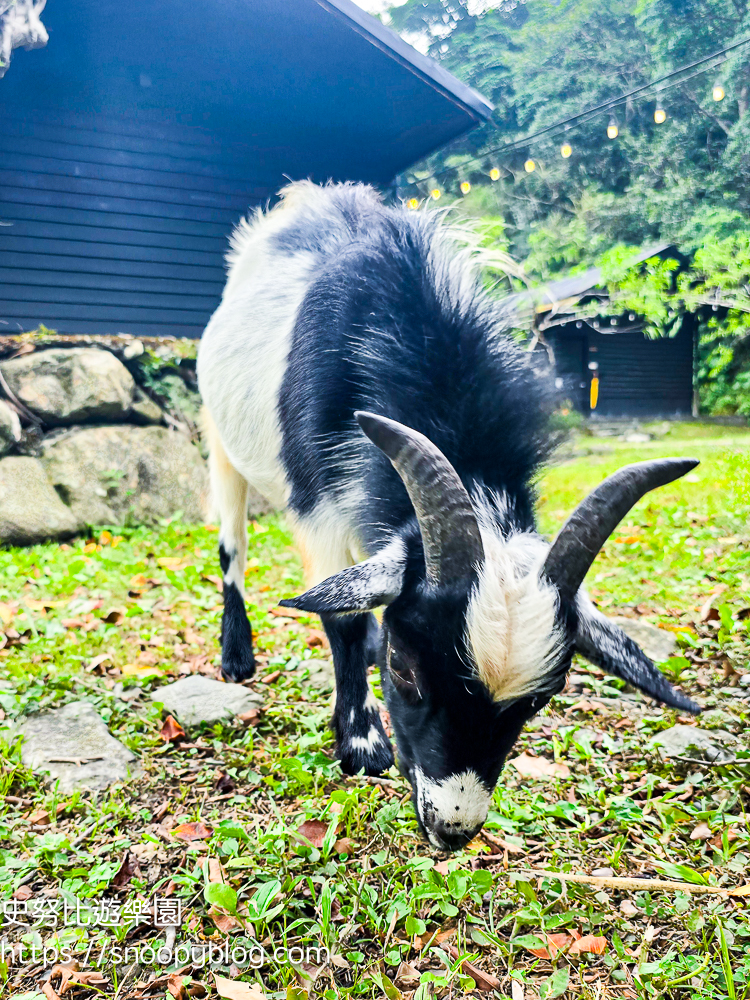 新竹住宿,新竹尖石景點,新竹親子住宿推薦,新竹露營