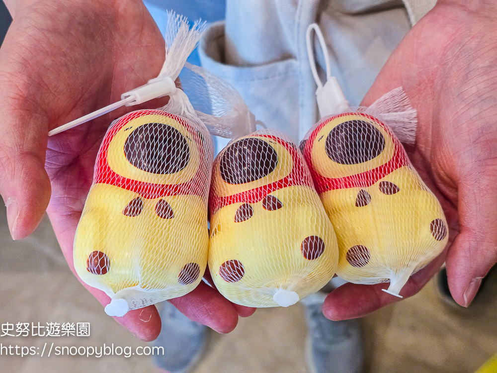 花蓮住宿推薦,花蓮火車站住宿,花蓮親子飯店