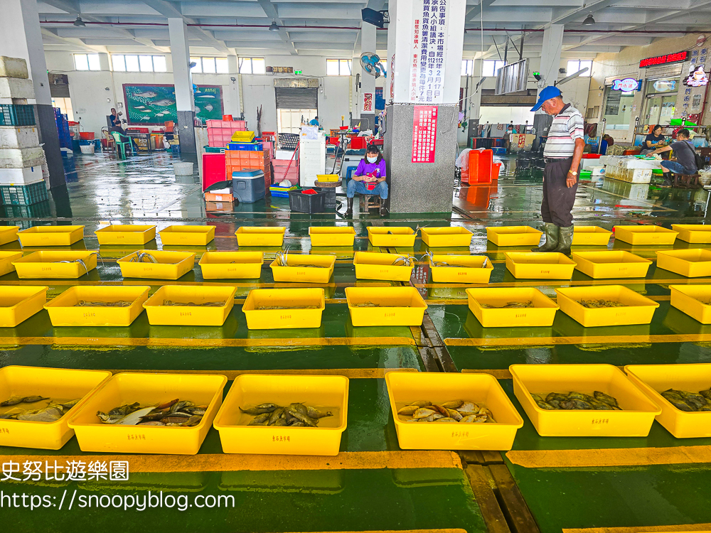夏令營,夢想一號教育學院,東石夏令營,鄉村永續夏令營