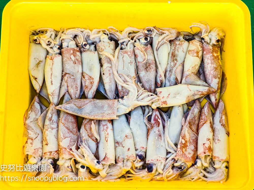 夏令營,夢想一號教育學院,東石夏令營,鄉村永續夏令營