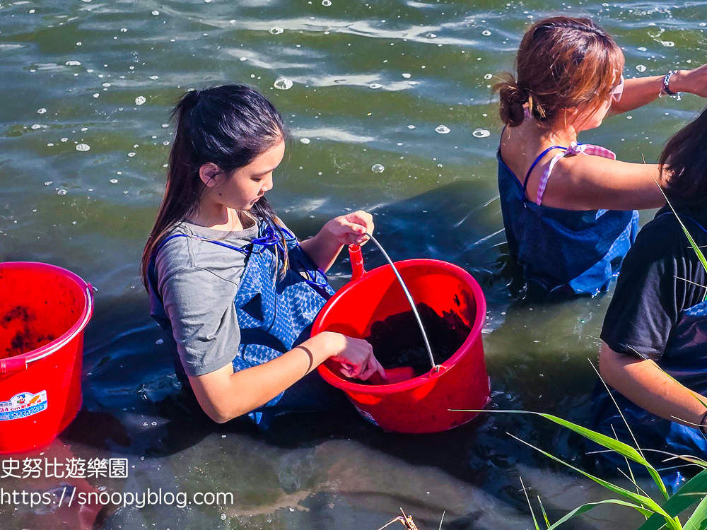 夏令營,夢想一號教育學院,東石夏令營,鄉村永續夏令營