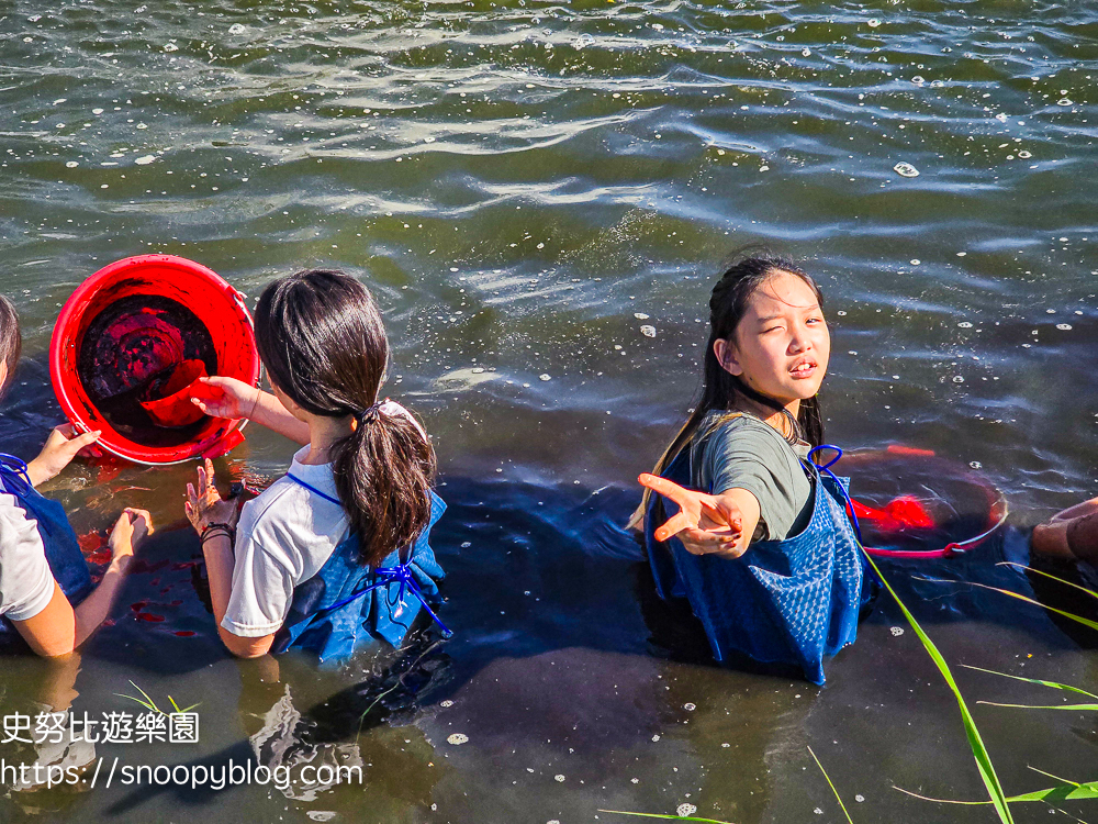 夏令營,夢想一號教育學院,東石夏令營,鄉村永續夏令營