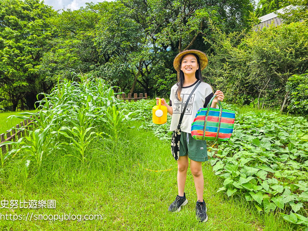 台北親子飯店推薦,台北飯店推薦,溫泉飯店推薦