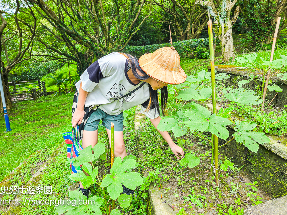 台北親子飯店推薦,台北飯店推薦,溫泉飯店推薦