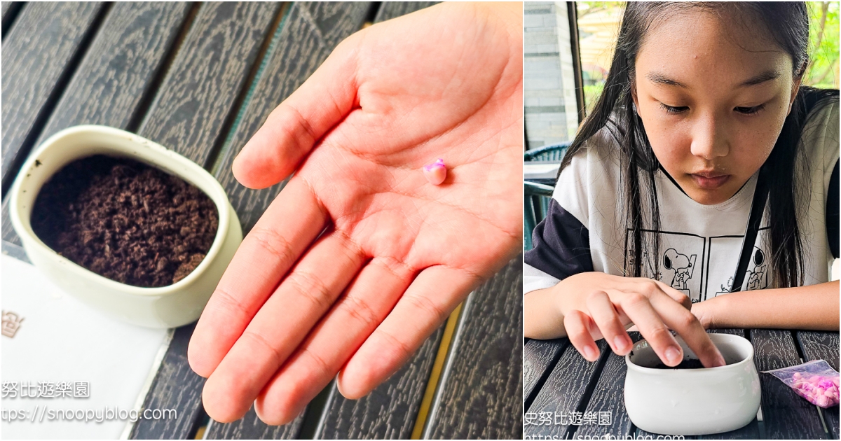 台北親子飯店推薦,台北飯店推薦,溫泉飯店推薦