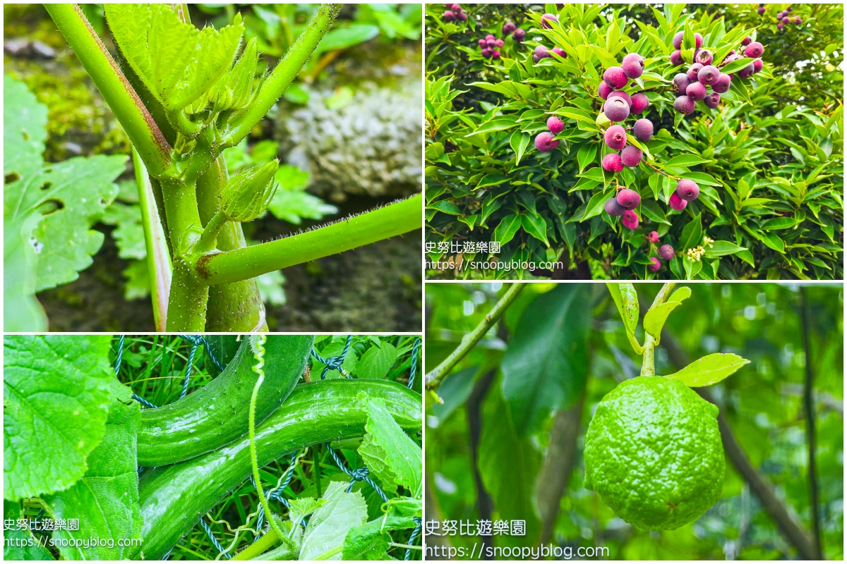 台北親子飯店推薦,台北飯店推薦,溫泉飯店推薦