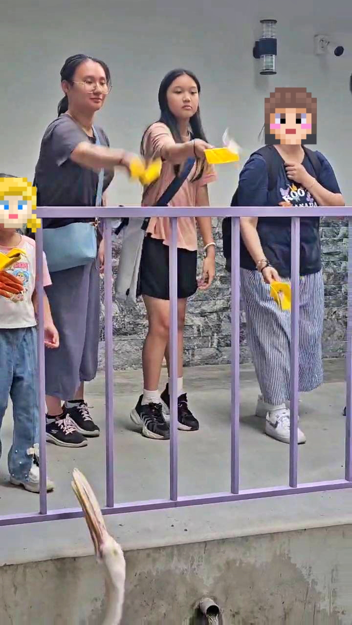 動物農場,宜蘭三星景點,宜蘭親子餐廳,宜蘭農場