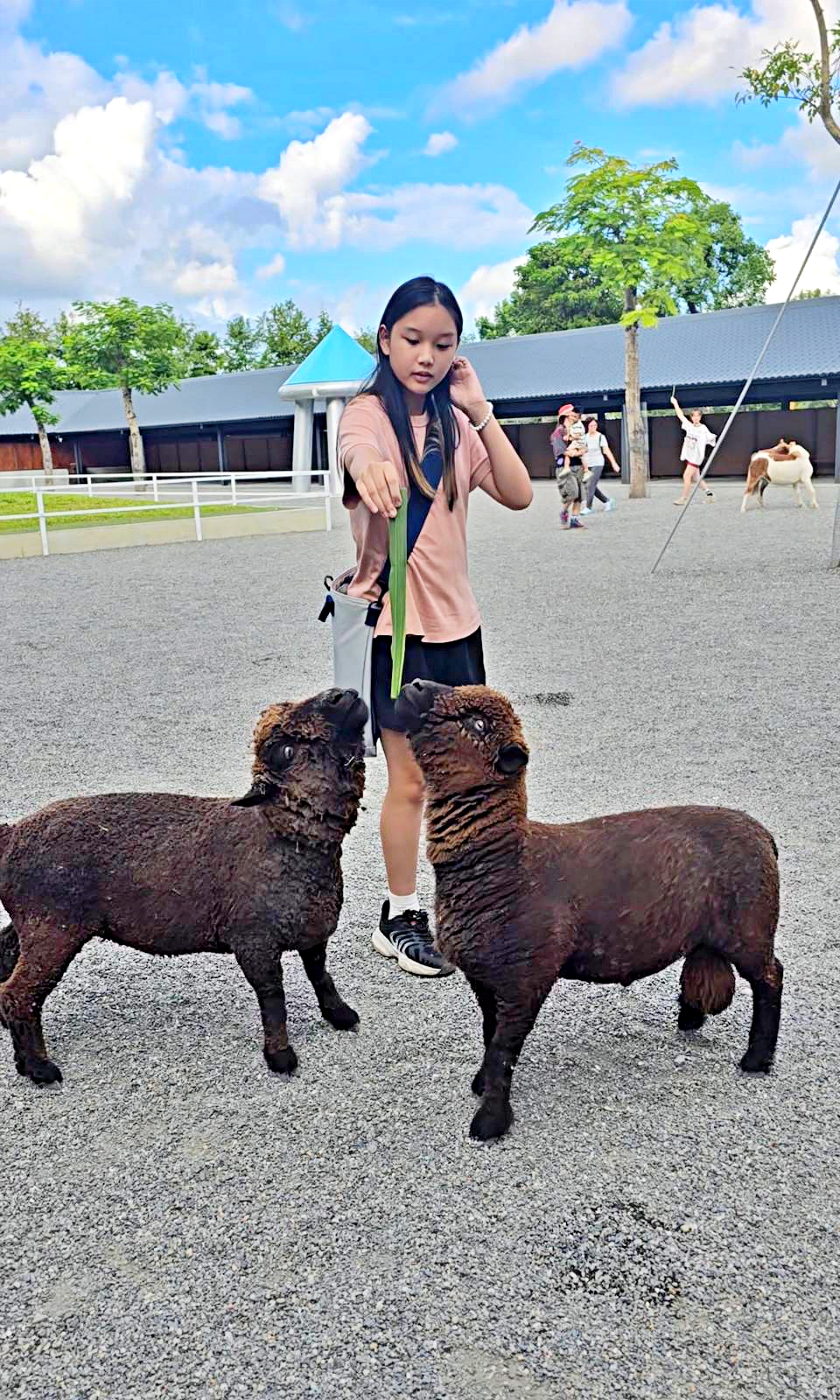 動物農場,宜蘭三星景點,宜蘭親子餐廳,宜蘭農場