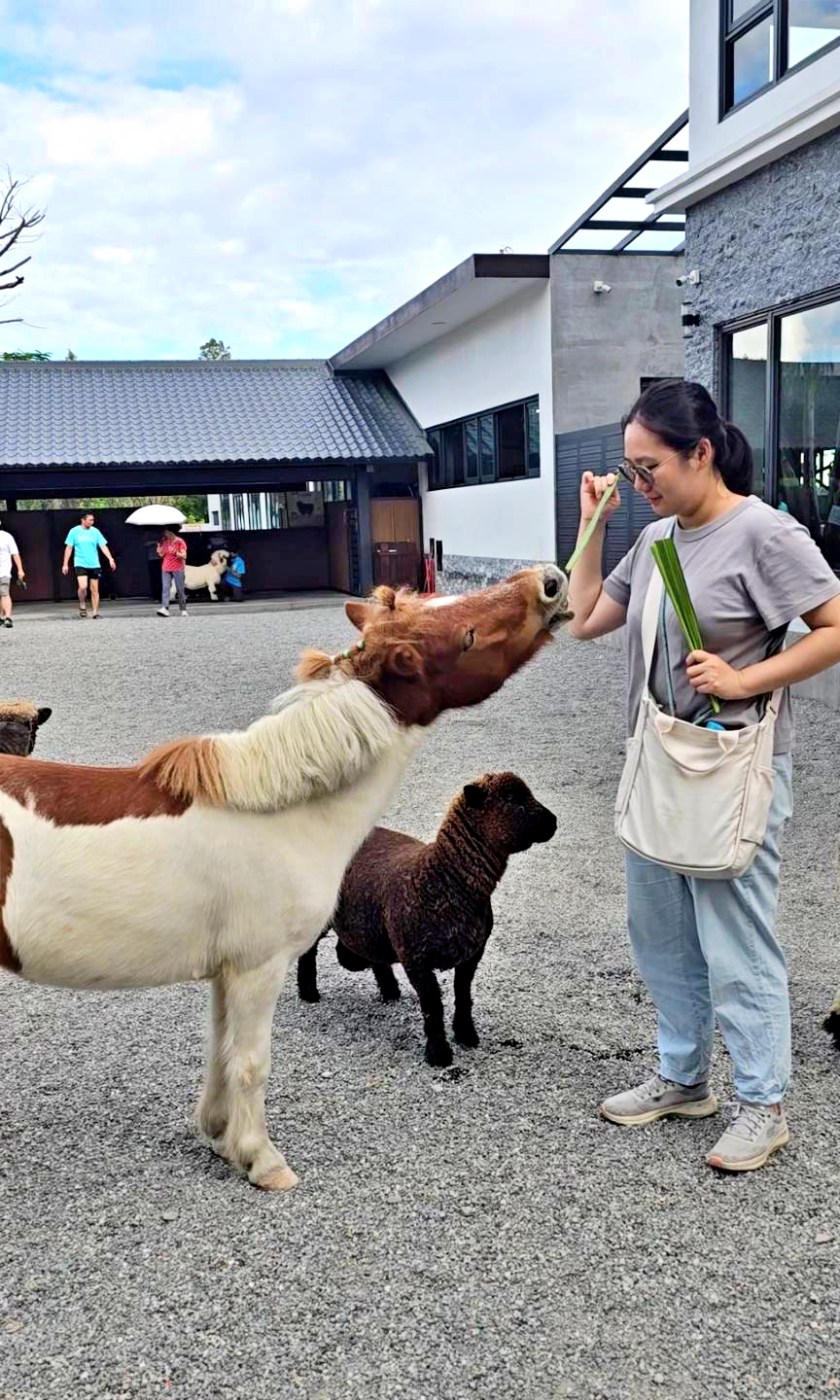 動物農場,宜蘭三星景點,宜蘭親子餐廳,宜蘭農場