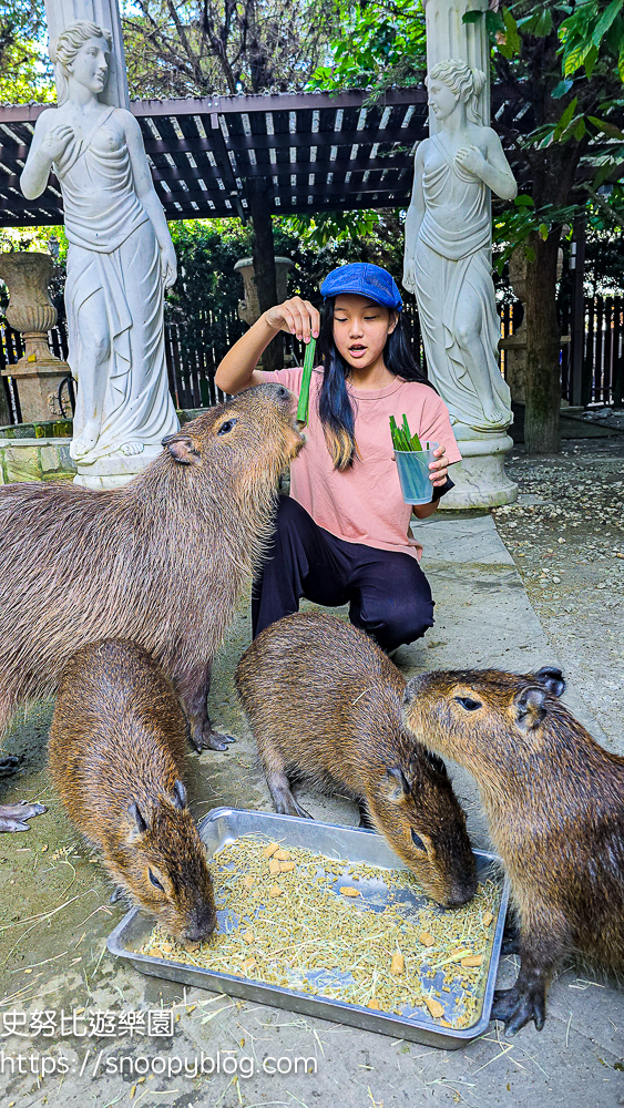 南投IG打卡景點,南投景點,南投親子景點,南投觀光工廠,埔里IG打卡景點,埔里下午茶,埔里伴手禮,埔里景點,埔里親子景點,埔里觀光工廠