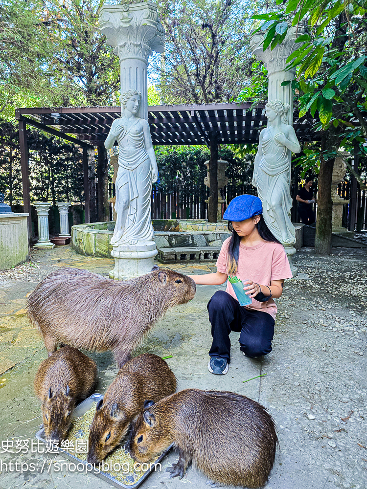 南投IG打卡景點,南投景點,南投親子景點,南投觀光工廠,埔里IG打卡景點,埔里下午茶,埔里伴手禮,埔里景點,埔里親子景點,埔里觀光工廠