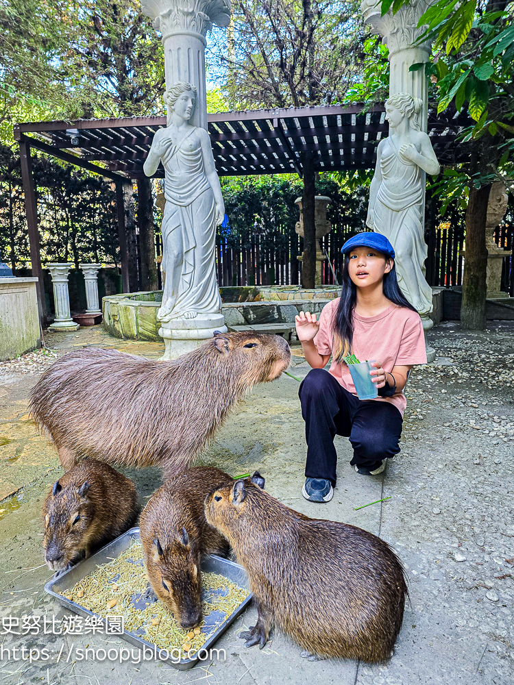 南投IG打卡景點,南投景點,南投親子景點,南投觀光工廠,埔里IG打卡景點,埔里下午茶,埔里伴手禮,埔里景點,埔里親子景點,埔里觀光工廠