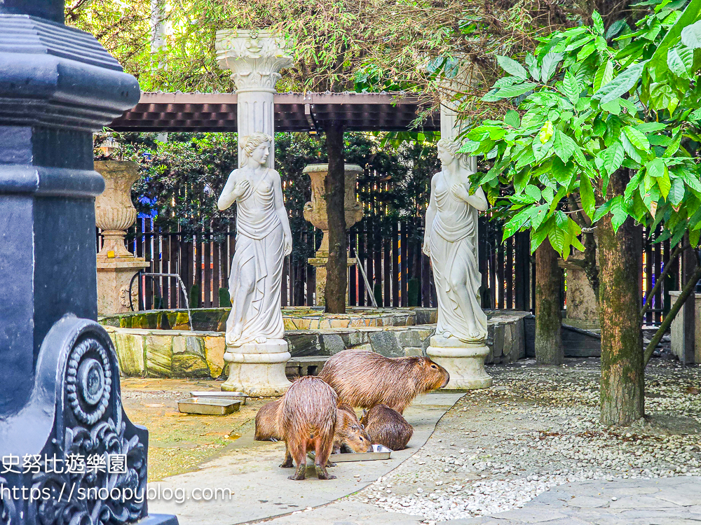 南投IG打卡景點,南投景點,南投親子景點,南投觀光工廠,埔里IG打卡景點,埔里下午茶,埔里伴手禮,埔里景點,埔里親子景點,埔里觀光工廠