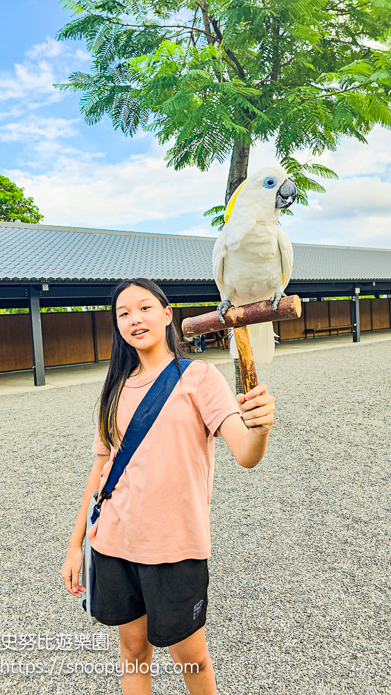 動物農場,宜蘭三星景點,宜蘭親子餐廳,宜蘭農場