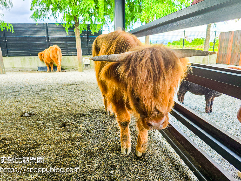 動物農場,宜蘭三星景點,宜蘭親子餐廳,宜蘭農場