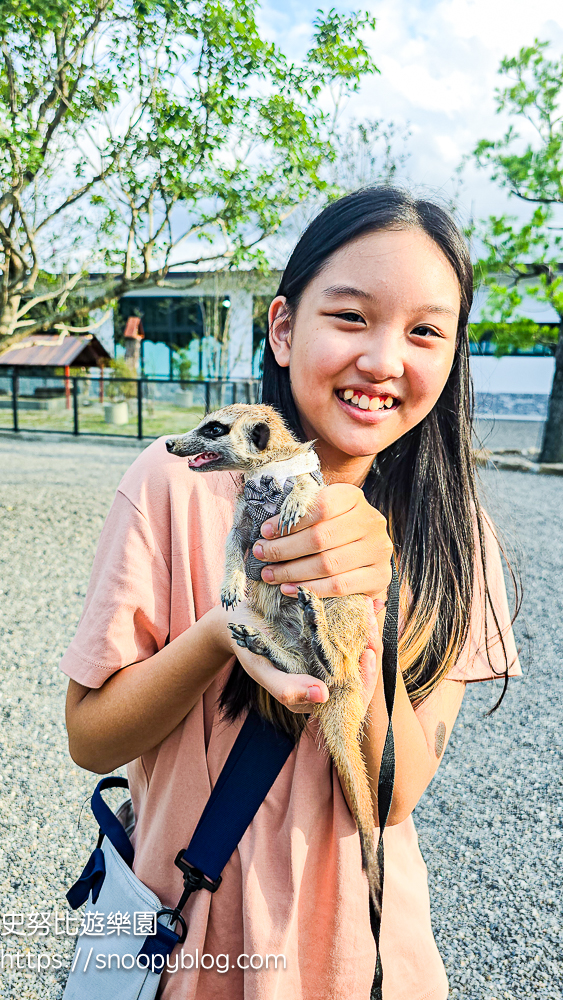 動物農場,宜蘭三星景點,宜蘭親子餐廳,宜蘭農場