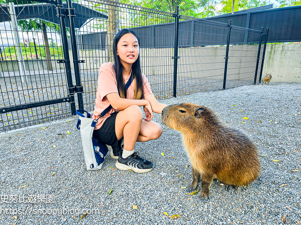 動物農場,宜蘭三星景點,宜蘭親子餐廳,宜蘭農場