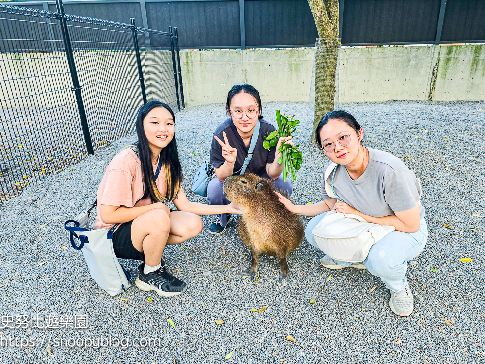 動物農場,宜蘭三星景點,宜蘭親子餐廳,宜蘭農場