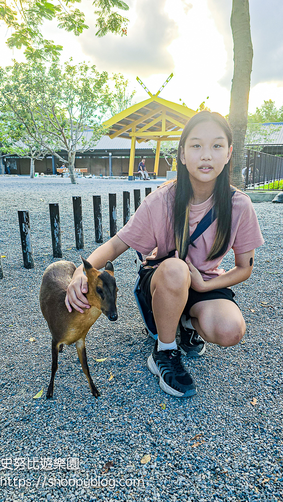 動物農場,宜蘭三星景點,宜蘭親子餐廳,宜蘭農場