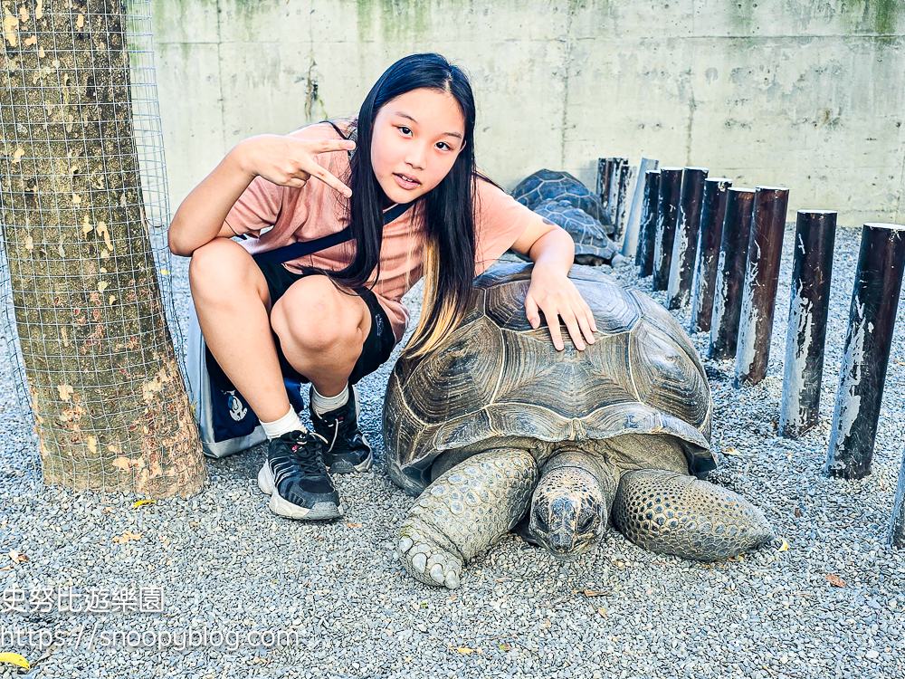 動物農場,宜蘭三星景點,宜蘭親子餐廳,宜蘭農場