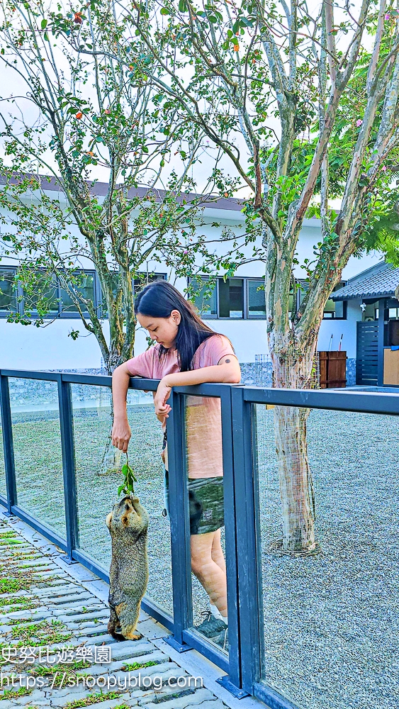 動物農場,宜蘭三星景點,宜蘭親子餐廳,宜蘭農場