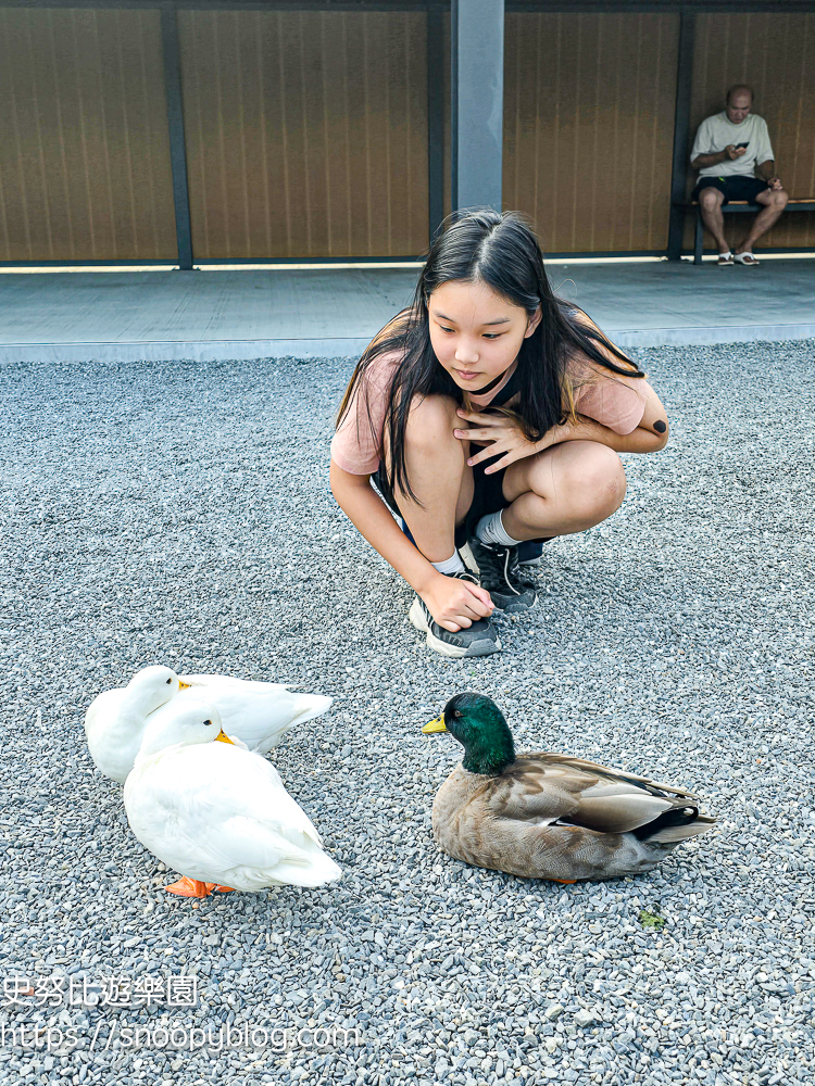 動物農場,宜蘭三星景點,宜蘭親子餐廳,宜蘭農場