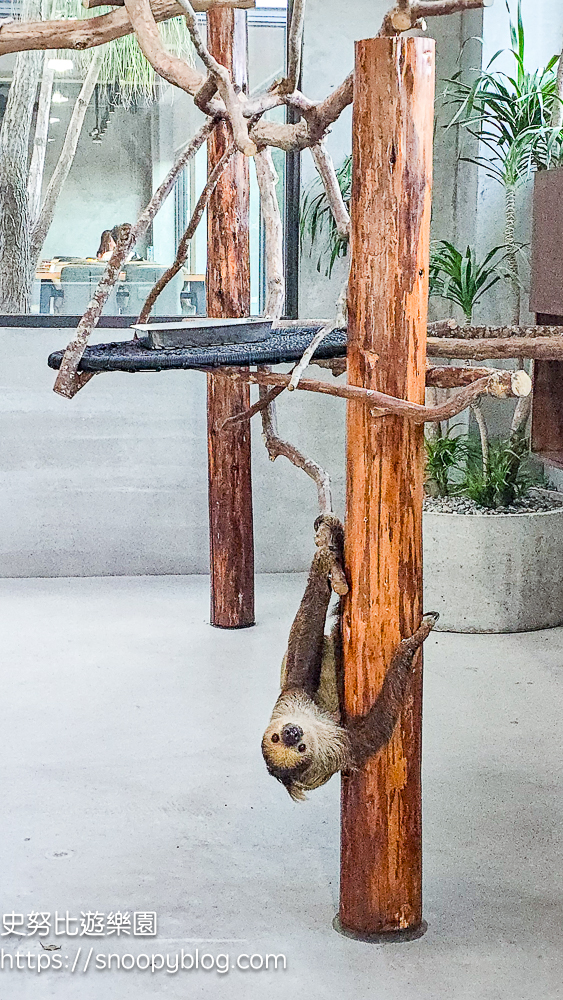 動物農場,宜蘭三星景點,宜蘭親子餐廳,宜蘭農場