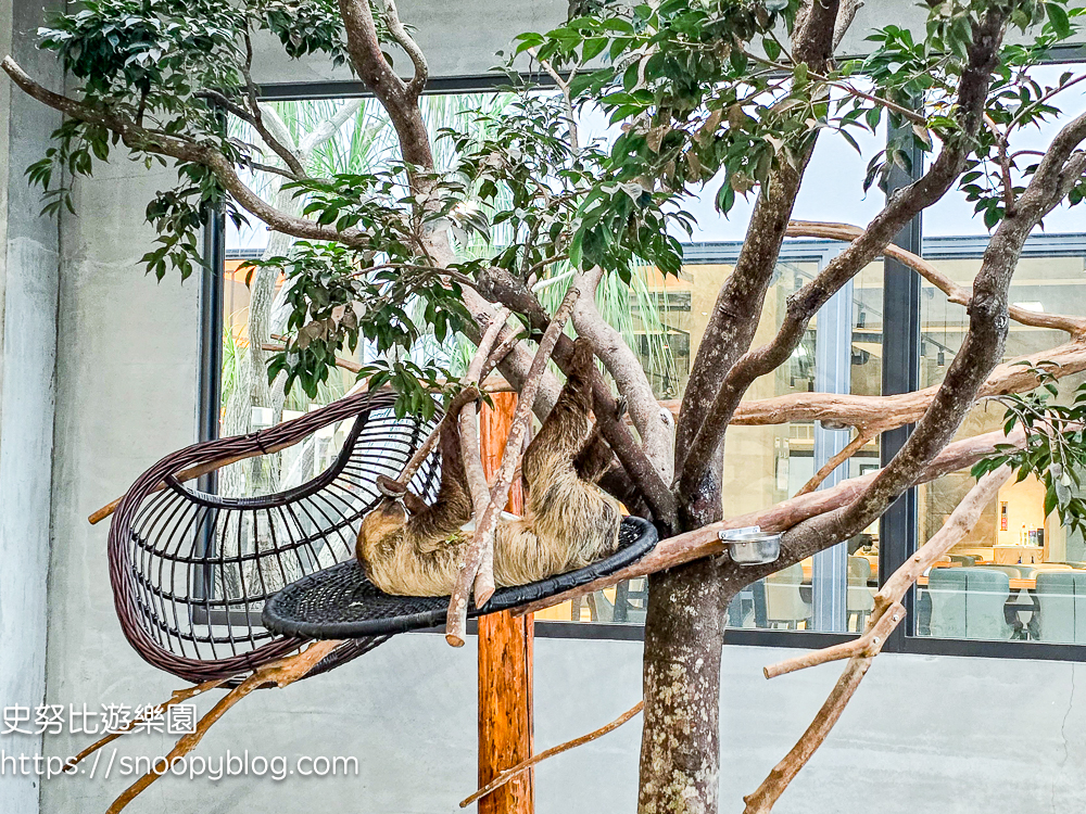 動物農場,宜蘭三星景點,宜蘭親子餐廳,宜蘭農場