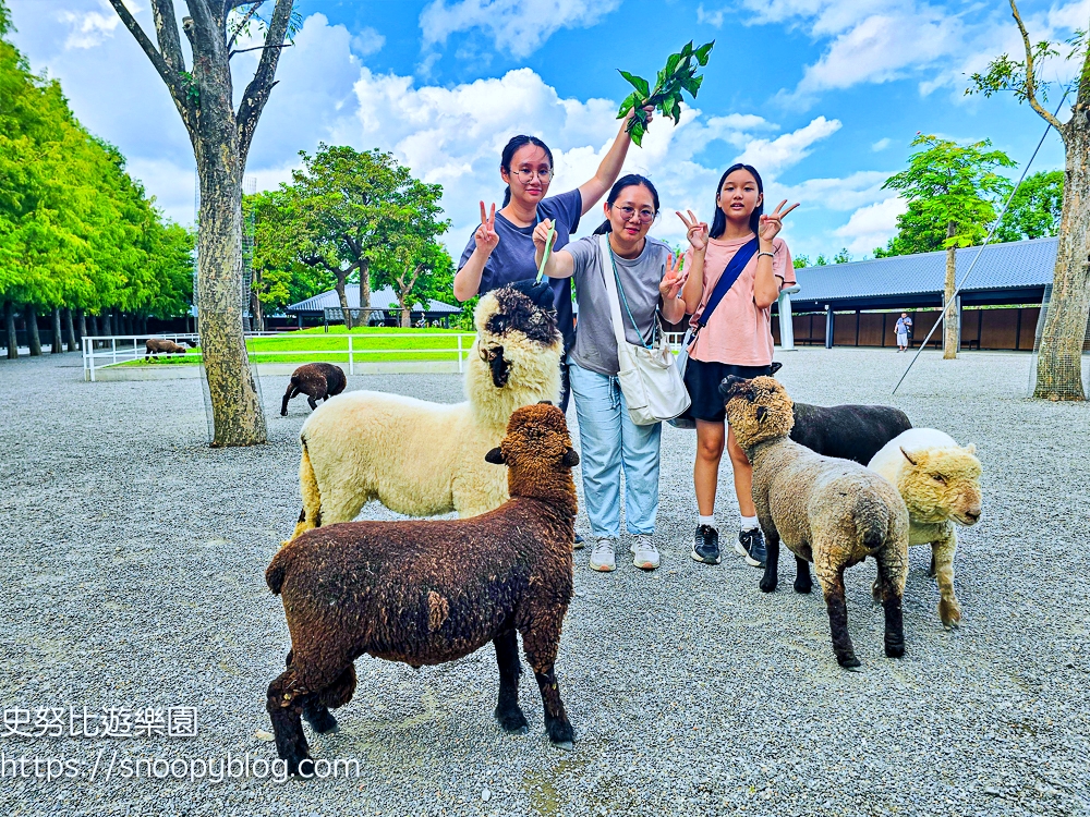 動物農場,宜蘭三星景點,宜蘭親子餐廳,宜蘭農場