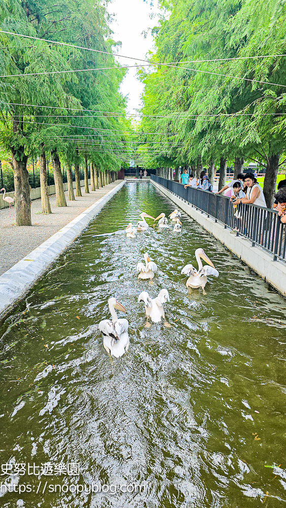 動物農場,宜蘭三星景點,宜蘭親子餐廳,宜蘭農場
