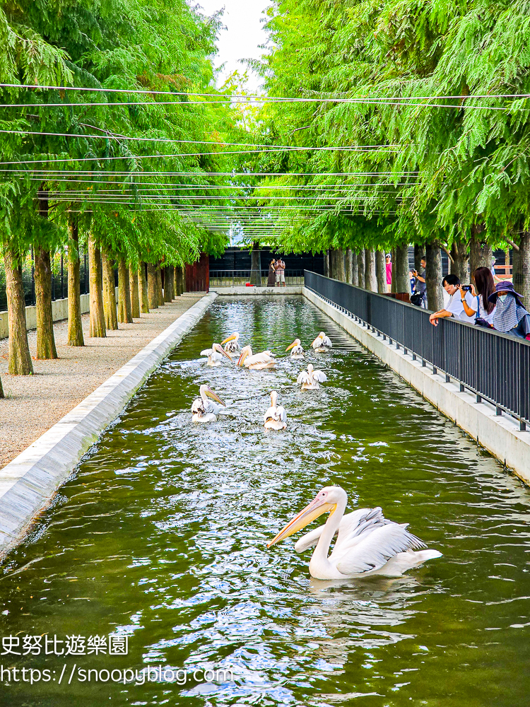 動物農場,宜蘭三星景點,宜蘭親子餐廳,宜蘭農場