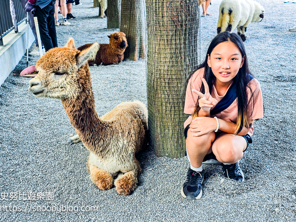 動物農場,宜蘭三星景點,宜蘭親子餐廳,宜蘭農場