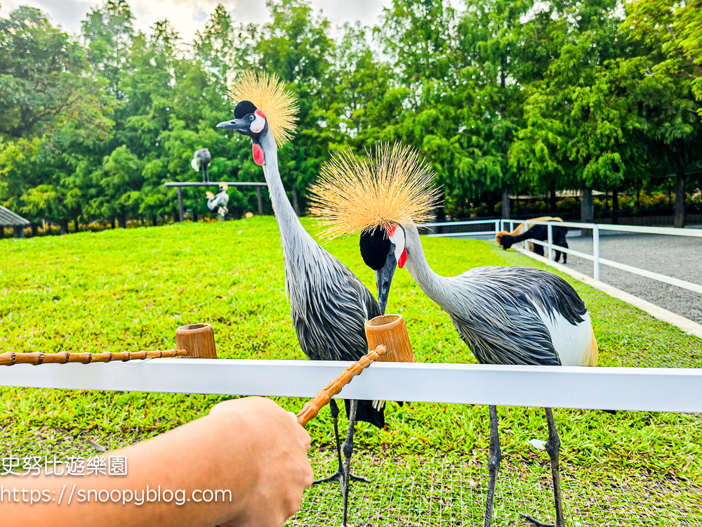 動物農場,宜蘭三星景點,宜蘭親子餐廳,宜蘭農場