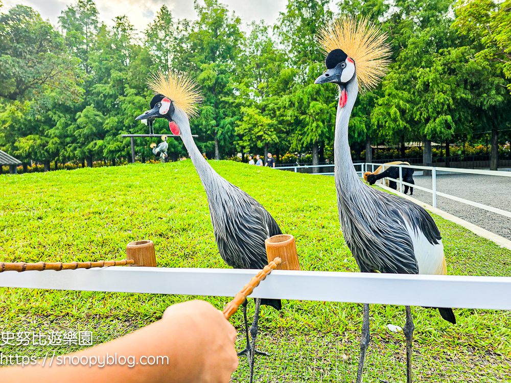 動物農場,宜蘭三星景點,宜蘭親子餐廳,宜蘭農場