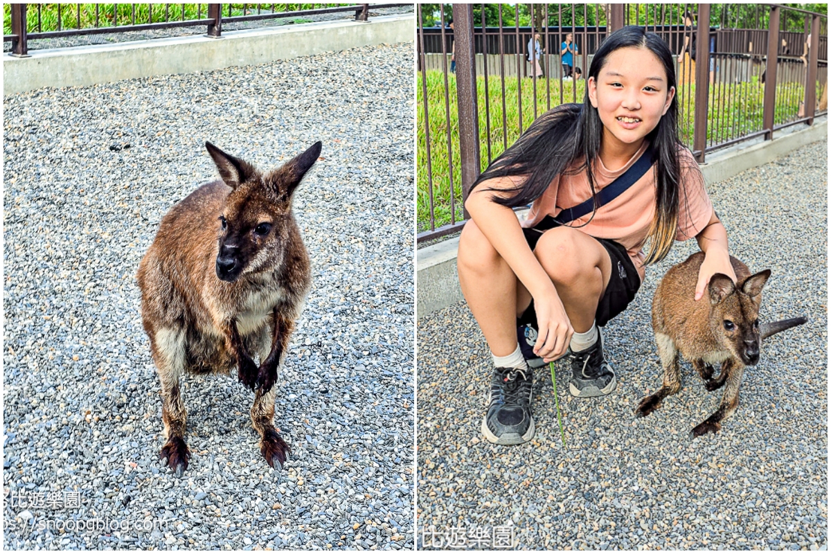 動物農場,宜蘭三星景點,宜蘭親子餐廳,宜蘭農場