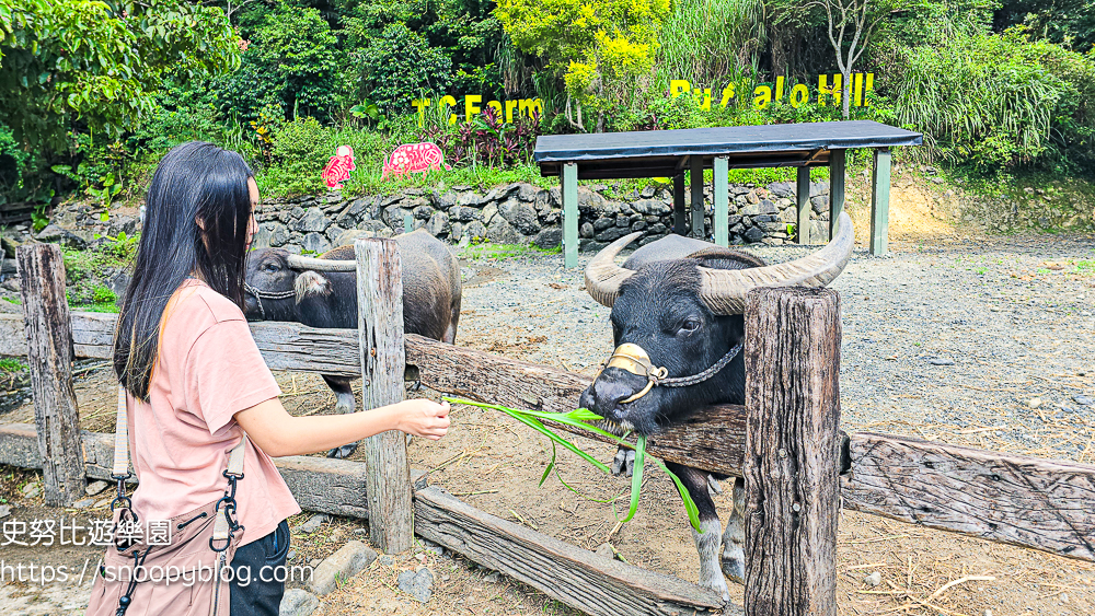 宜蘭住宿推薦,宜蘭親子飯店,頭城住宿推薦