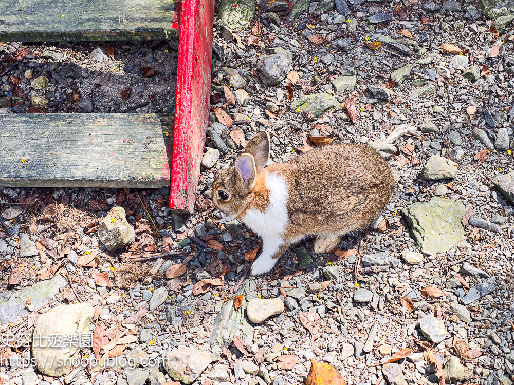 宜蘭住宿推薦,宜蘭親子飯店,頭城住宿推薦