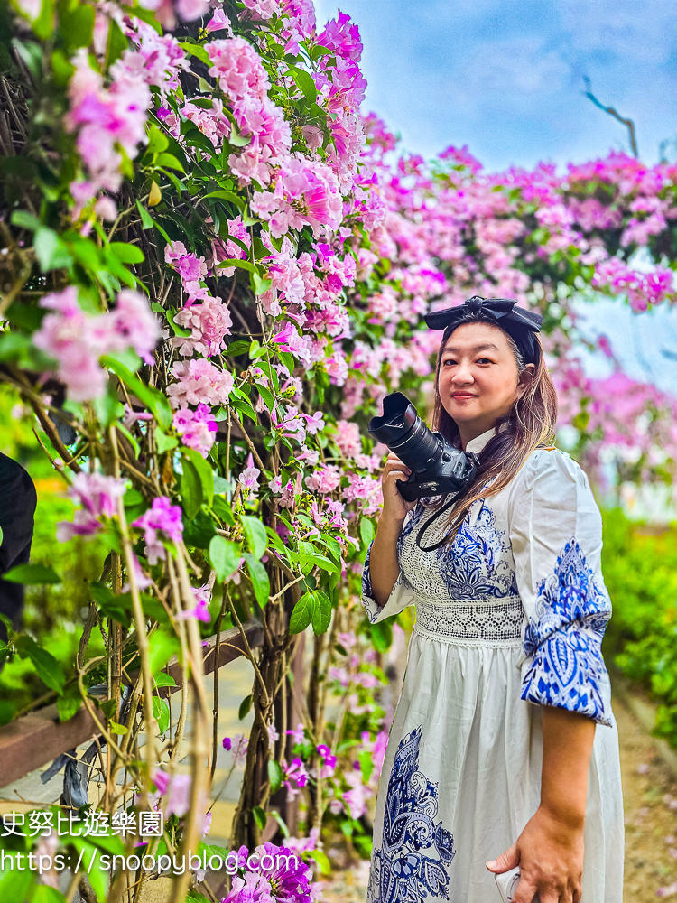 台北賞花,泰山景點,蒜香藤