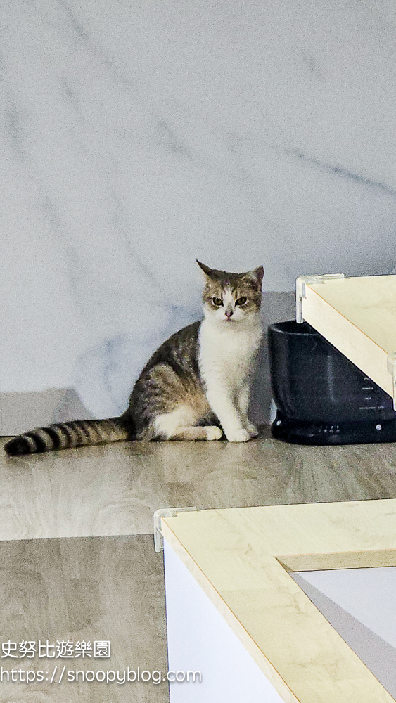 苗栗景點,苗栗火車站,苗栗親子景點