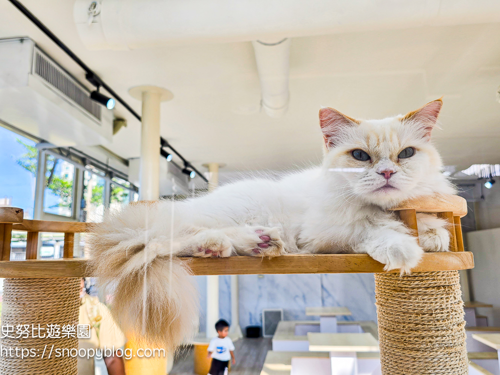 苗栗景點,苗栗火車站,苗栗親子景點 苗栗景點,苗栗火車站,苗栗親子景點