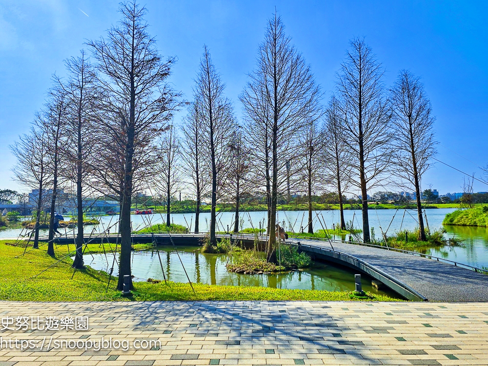大園景點,桃園特色公園,桃園親子景點