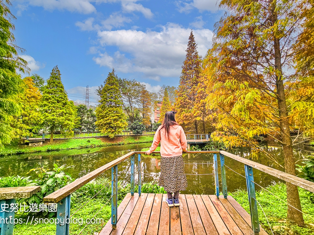 桃園景點,桃園賞花,落羽松,龜山景點