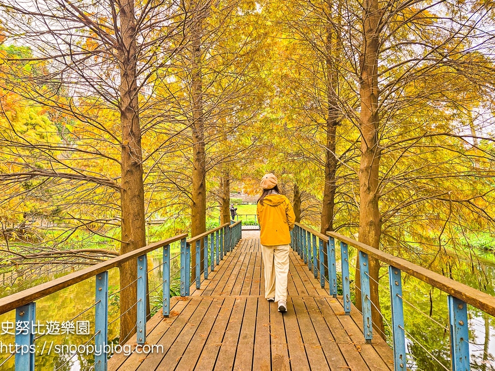 桃園景點,桃園賞花,落羽松,龜山景點