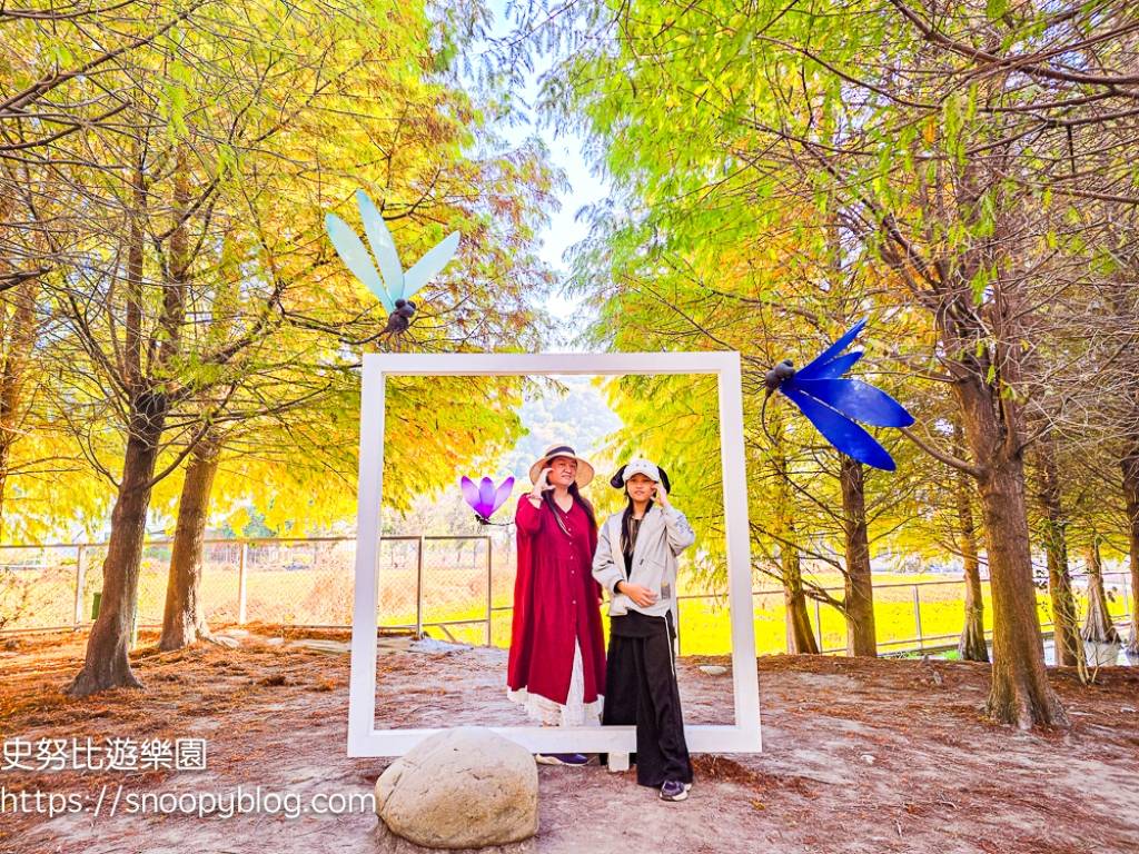 台中景點,后里景點,落羽松