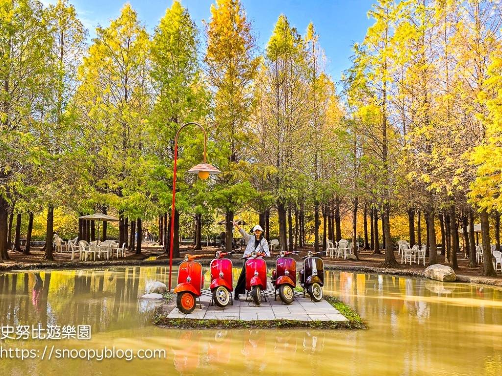 台中景點,后里景點,落羽松