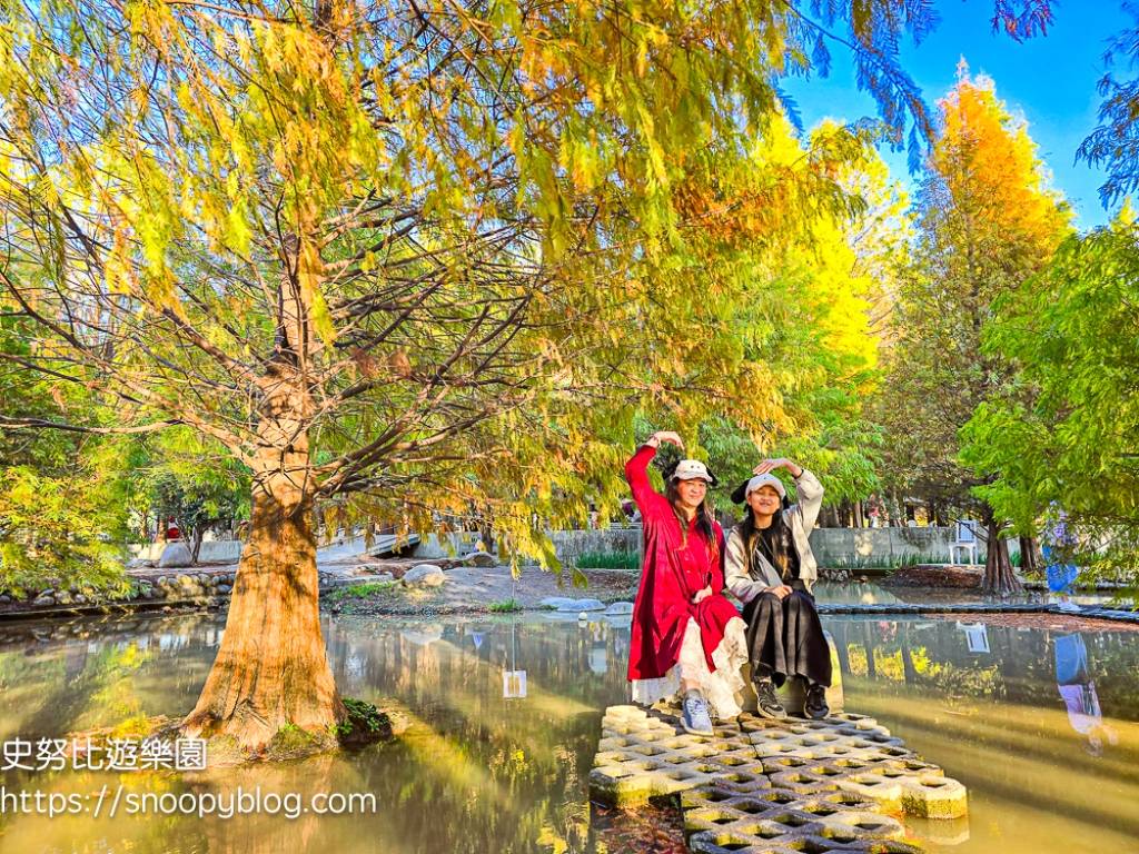 台中景點,后里景點,落羽松