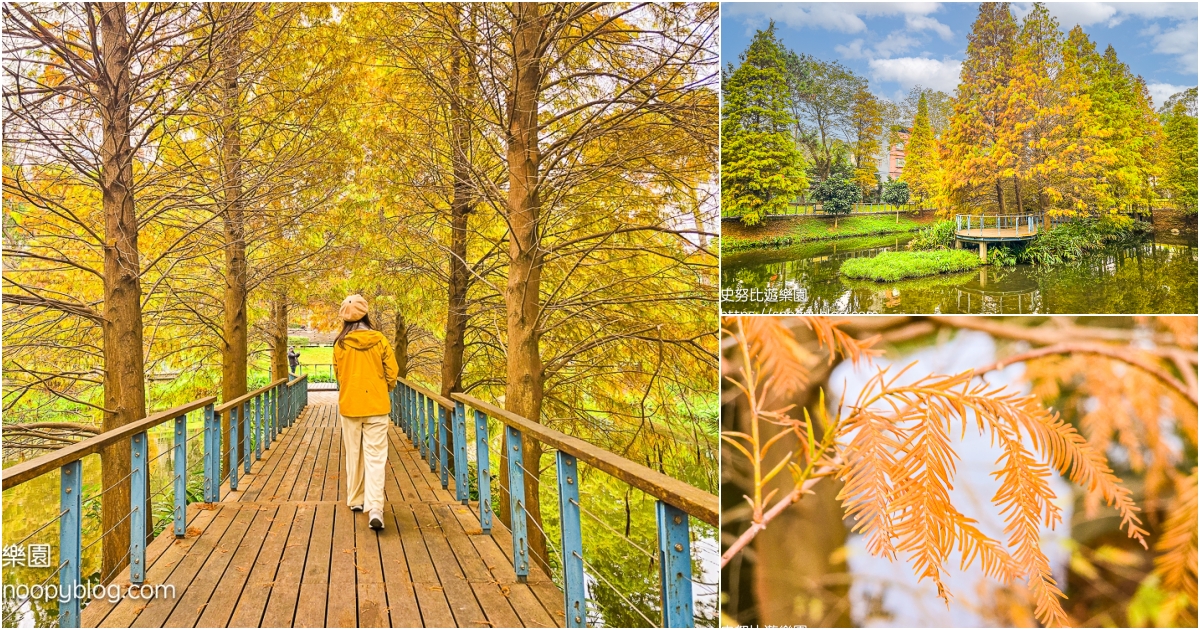 網站近期文章：【桃園龜山】長庚養生文化村落羽松公園～水上木棧道、環湖步道超夢幻，桃園落羽松祕境